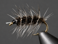 Griffith's Gnat