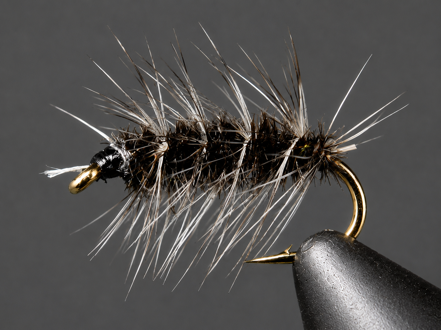 Griffith's Gnat