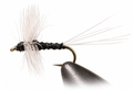 Trico Thorax