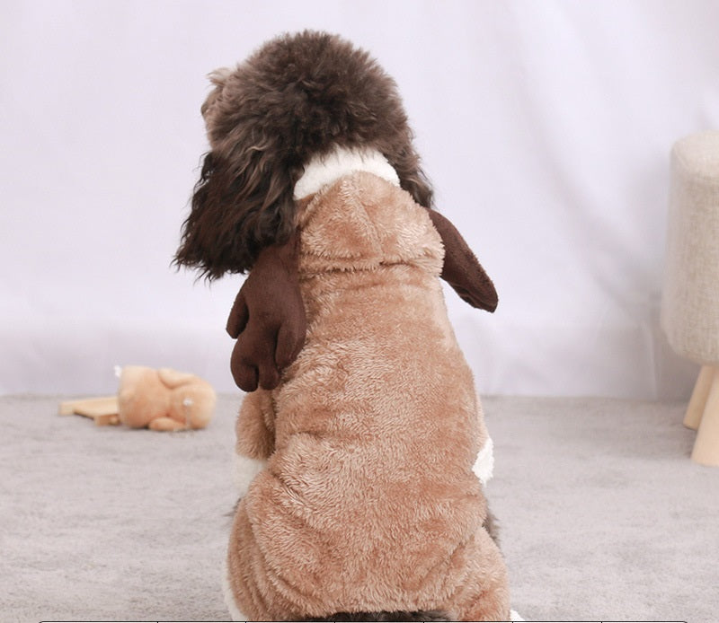 MF Dog Costumes